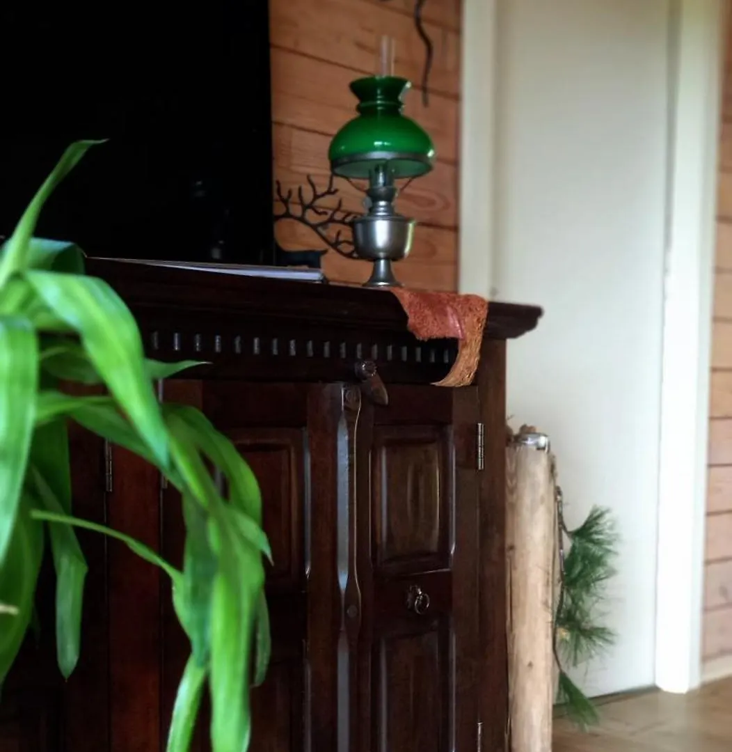 Chalet Wickie Grafenau  Vakantiehuis