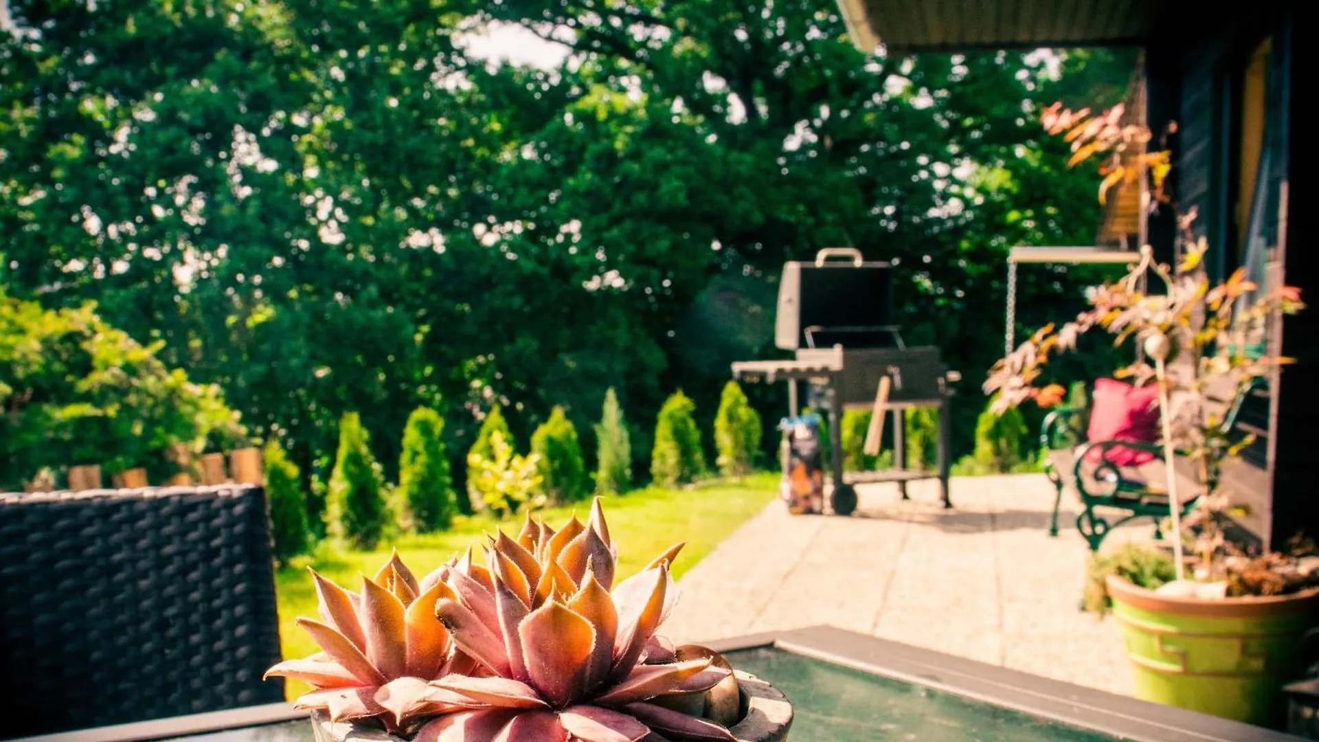 Chalet Wickie Grafenau  Allemagne